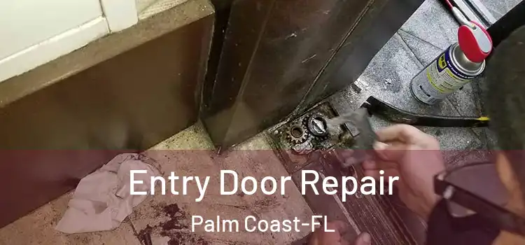  Entry Door Repair Palm Coast-FL