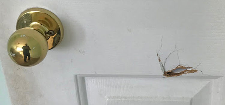 interior door hole repair Palm Coast