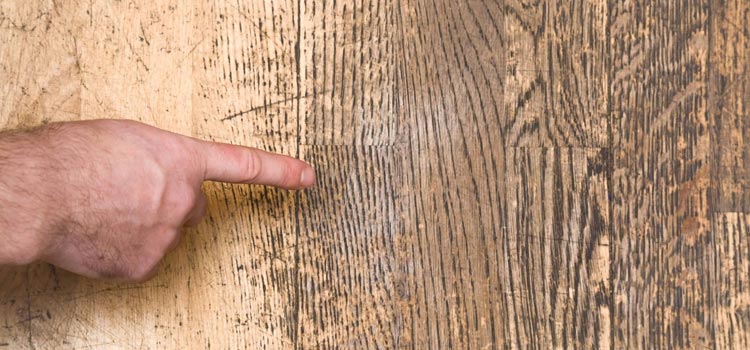 Wood Door Scratch Repair in Palm Coast