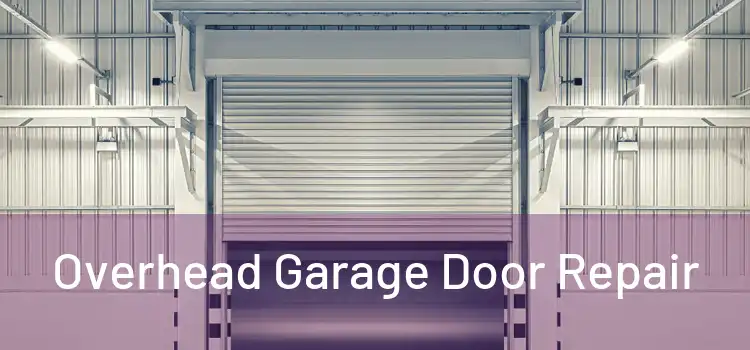  Overhead Garage Door Repair 